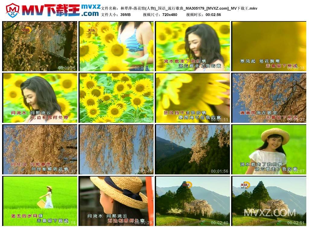 林翠萍-落花情(人物)_国语_流行歌曲_MA305179